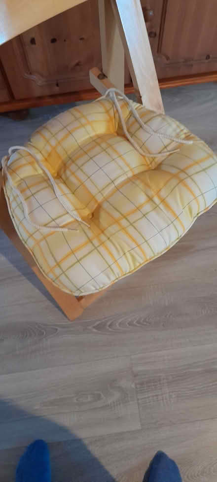Photo of free Chair Cushions X 4 (Surlingham NR14) #1