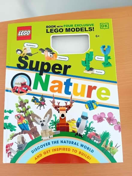 Photo of free Lego mini figure books (Ivybridge PL21) #2