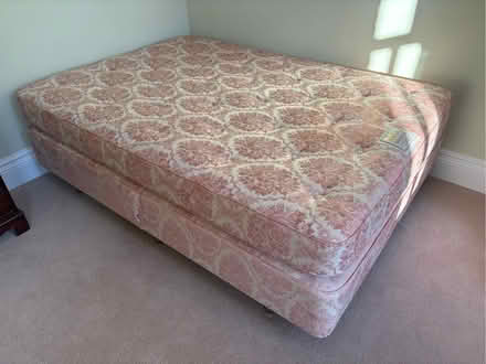 Photo of free Double bed (Frant TN3) #3