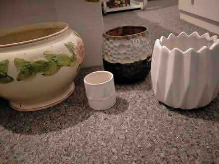 Photo of free Several plants, plant pots, propagation jars (Sudden OL11) #3