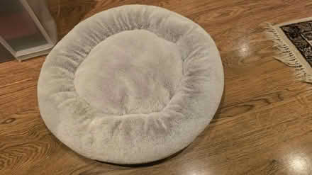 Photo of free Cat bed (Bladon OX20) #1