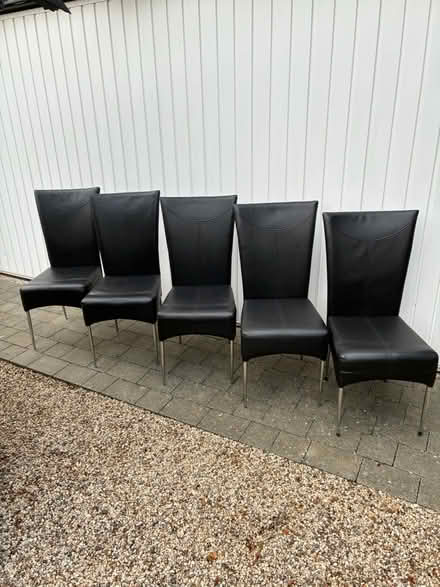 Photo of free Five dinning/kitchen chairs (Maldon) #2