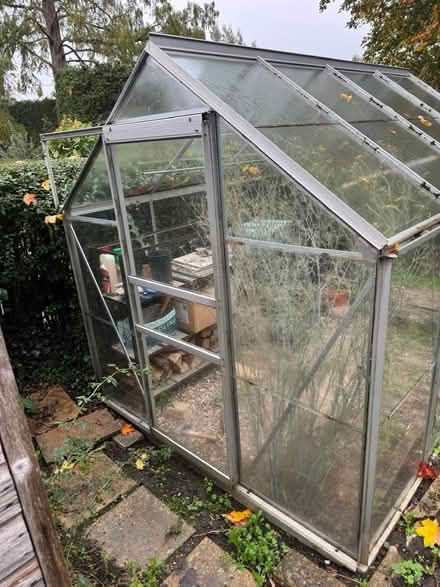 Photo of free Greenhouse (Banstead) #2