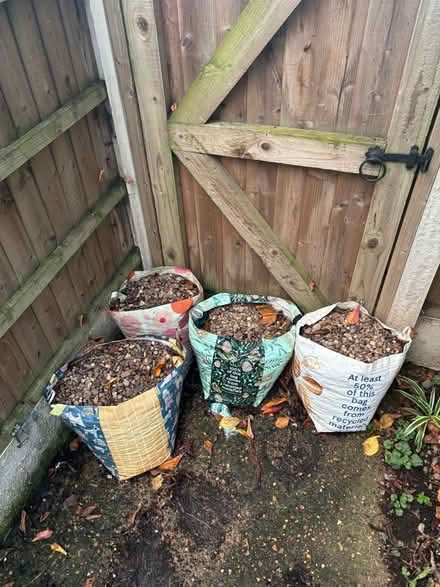 Photo of free Pebbles (Radford NG8) #1
