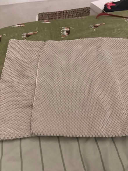 Photo of free Cushion covers beige x 2 (Hillcliffe WA4) #1