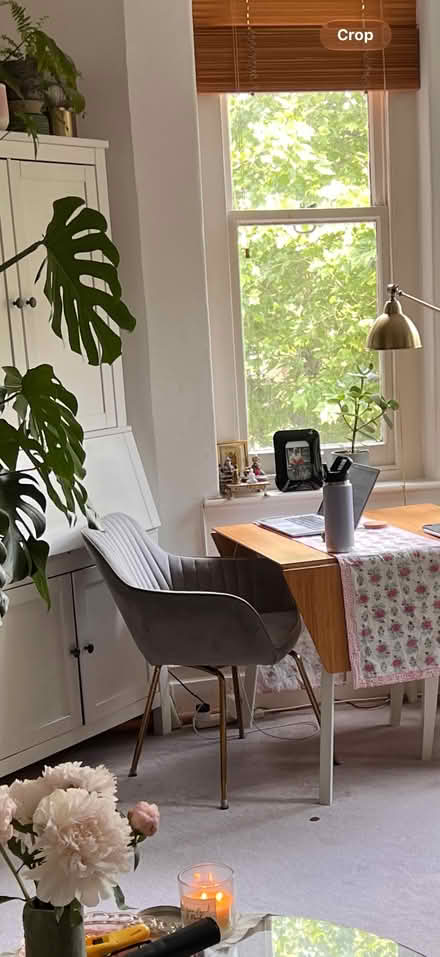 Photo of free Grey desk chair (East Acton W3) #1