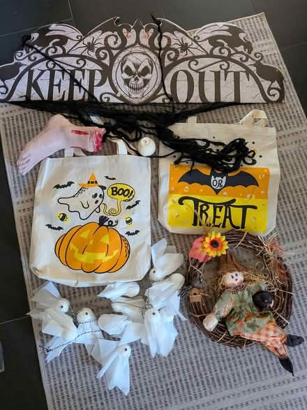 Photo of free Halloween stuff (Montreal road and St Laurent) #1