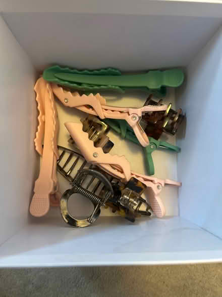 Photo of free Hair clips (West Kensington W14) #1