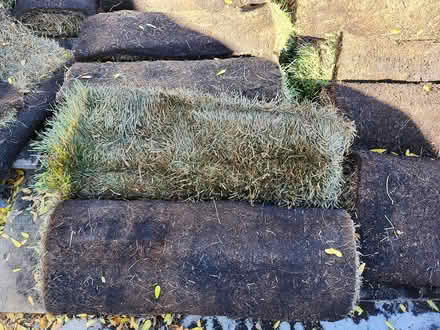 Photo of free Sod about 25 rolls (Wellington Village) #3