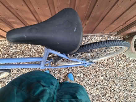 Photo of free Blue Bicycle (West Ashby LN9) #3