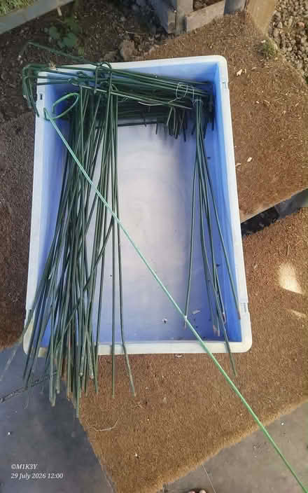 Photo of free Gardening guide stakes (Canterbury CT3) #2