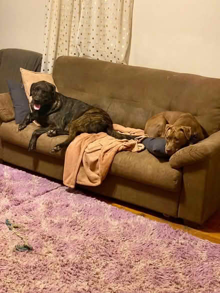 Photo of free IKEA KNISLINGE Couch (Abingdon) #1