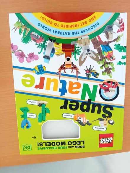 Photo of free Lego mini figure books (Ivybridge PL21) #2