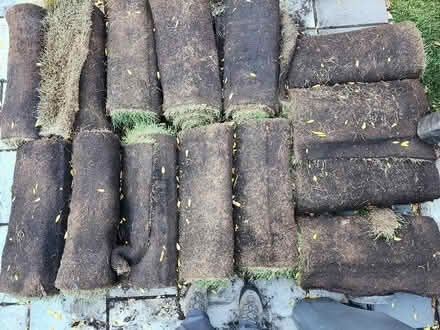 Photo of free Sod about 25 rolls (Wellington Village) #2