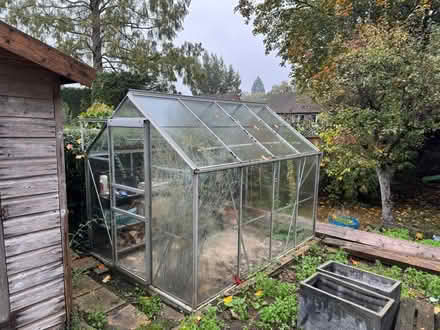 Photo of free Greenhouse (Banstead) #1
