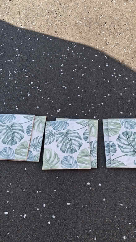 Photo of free Tiles with palm leaves. (Farlington PO6) #4