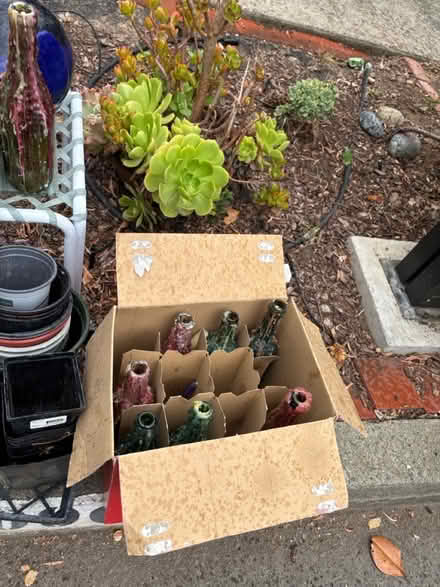 Photo of free Garden stuff and Halloween (Near SuperDuper) #1