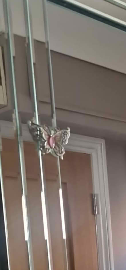 Photo of free Large Mirror (Hastings TN38) #2