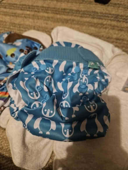 Photo of free Reusable nappies (Camberwell SE5) #1