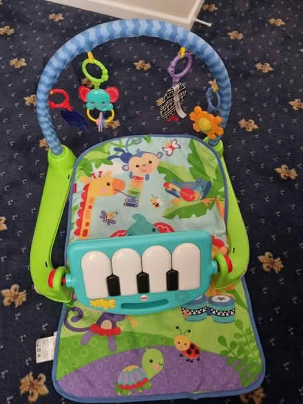 Photo of free Fisherprice playmat (B90) #1
