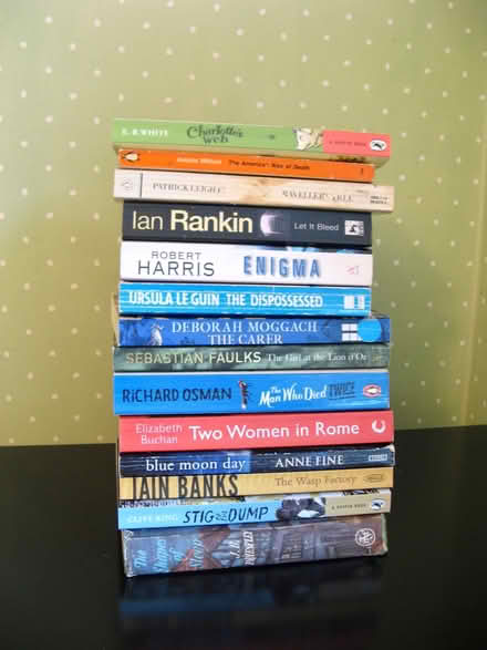 Photo of free 13 paperback books: Mostly novels (Croham CR2) #1
