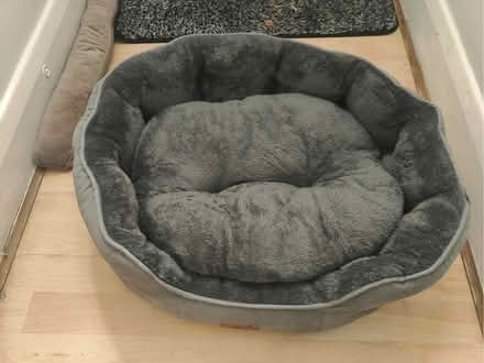 Photo of free Pet bed (Plaistow E13) #2