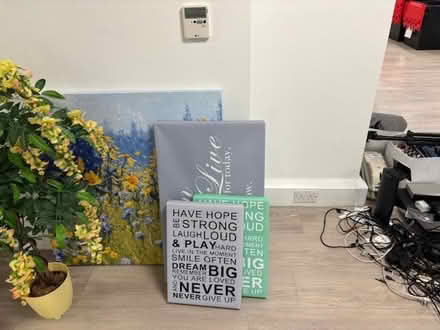 Photo of free x2 chairs, fake plant and pictures (Covent Garden WC2B) #2