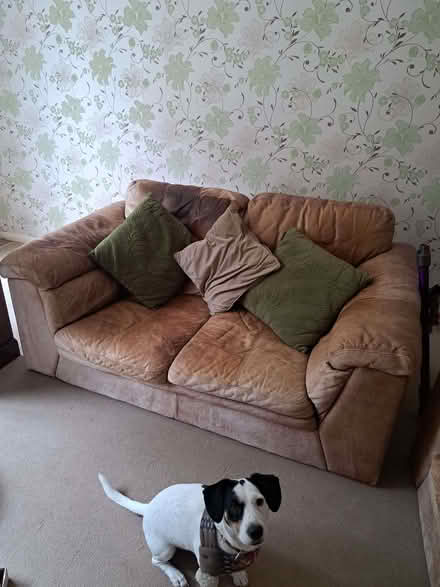 Photo of free Brown leather 2x sofa (Filsham TN38) #1