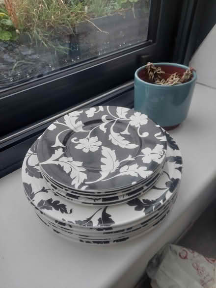 Photo of free M&S Plates (Clerkenwell WC1X) #1