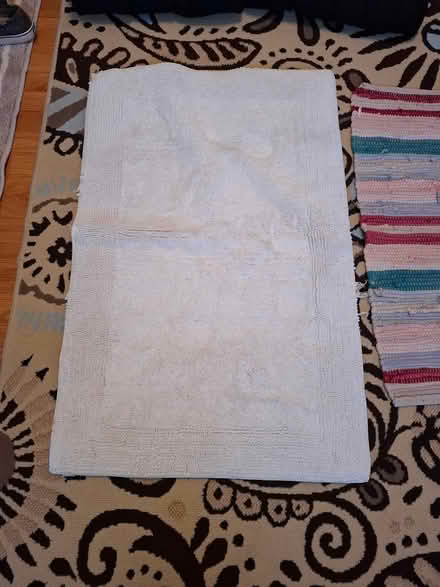 Photo of free Cushions, throw ruga (Garden City) #2