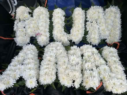 Photo of free Funeral Floral arrangements (Ware SG12) #1