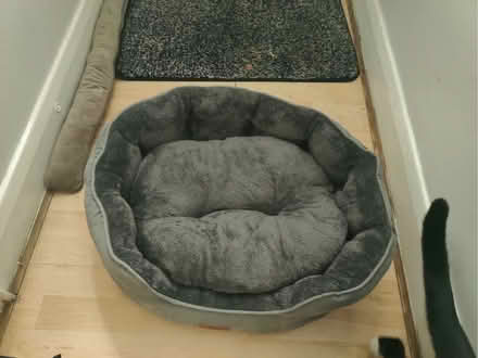 Photo of free Pet bed (Plaistow E13) #1