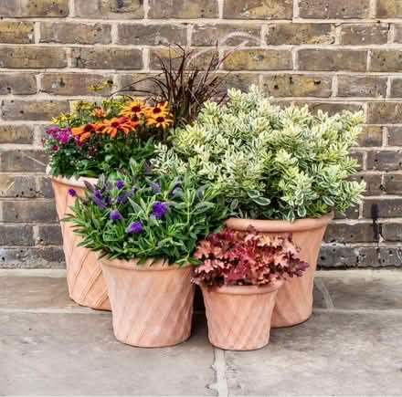 Photo of Old outdoor plant pots/containers (Wetherby LS22) #1