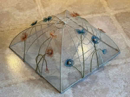 Photo of free Mesh food cover (Beaverbrook) #1