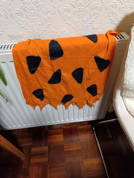 Photo of free Costumes kids and decorations (Forest Gate E7) #2