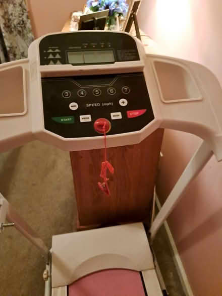 Photo of free Pink small treadmill (Girard Estate area .19145) #2