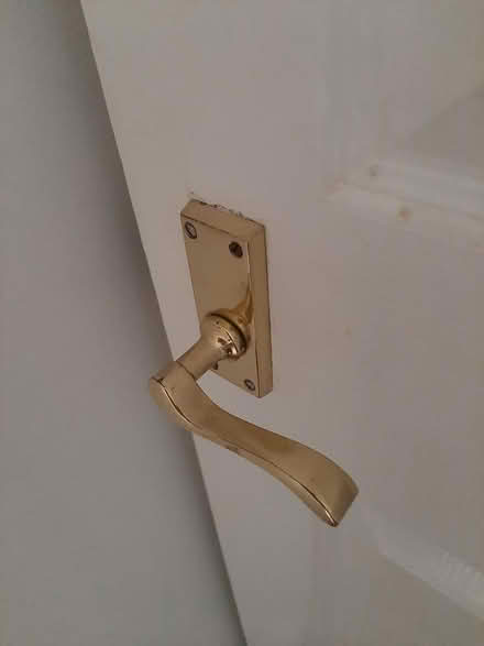 Photo of free Two solid wide interior doors (Green Street Green BR6) #1