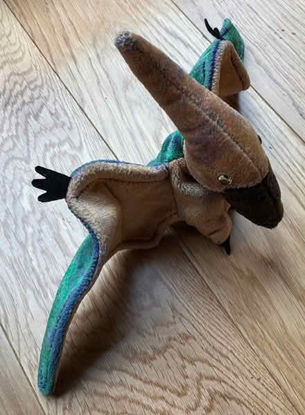Photo of free Beany Baby raptor (Cookham SL6) #1
