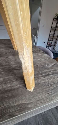 Photo of free 6 Dining Chairs (Slightly Damaged) (Oare ME13) #3