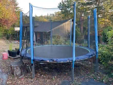 Photo of free Trampoline (nw portland) #2