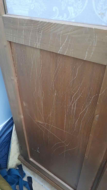 Photo of free IKEA storage cupboard (Marcham OX13) #2