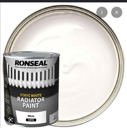 Photo of Radiator paint (Heaton NE6) #1