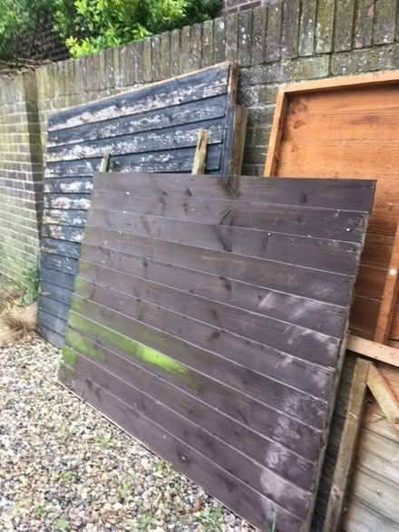Photo of free Wood from an old shed, plus some misc bits (New Costessey NR5) #3
