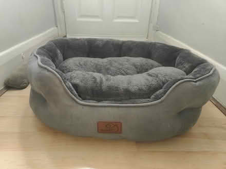 Photo of free Pet bed (Plaistow E13) #3