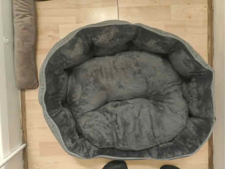 Photo of free Pet bed (Plaistow E13) #4