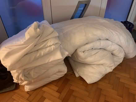 Photo of free Double and King Sized Duvets (Garsington OX44) #1