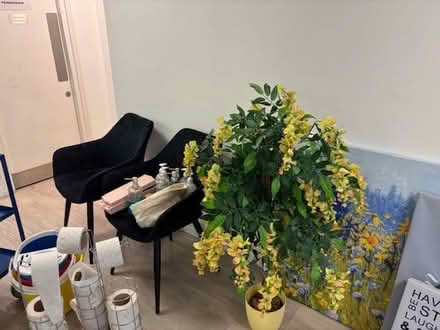 Photo of free x2 chairs, fake plant and pictures (Covent Garden WC2B) #1