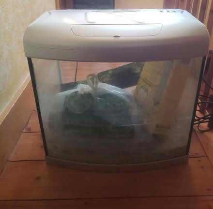 Photo of free Fish tank (Forest Green) #1