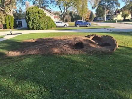 Photo of free Mixed tree shavings and soil (Greenfield, WI) #2