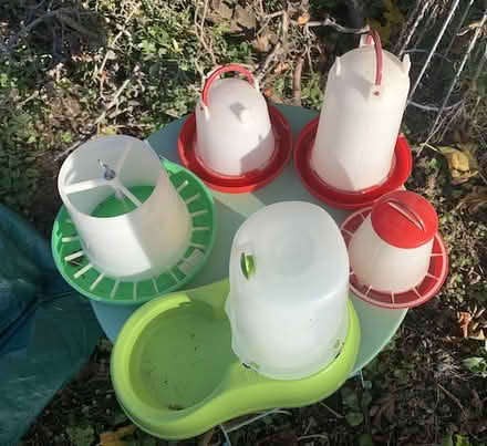 Photo of free Poultry feeders and drinkers (Walton Manor OX2) #1